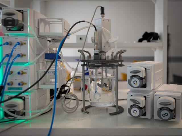 PXL_20260324_130927973.PORTRAIT 2